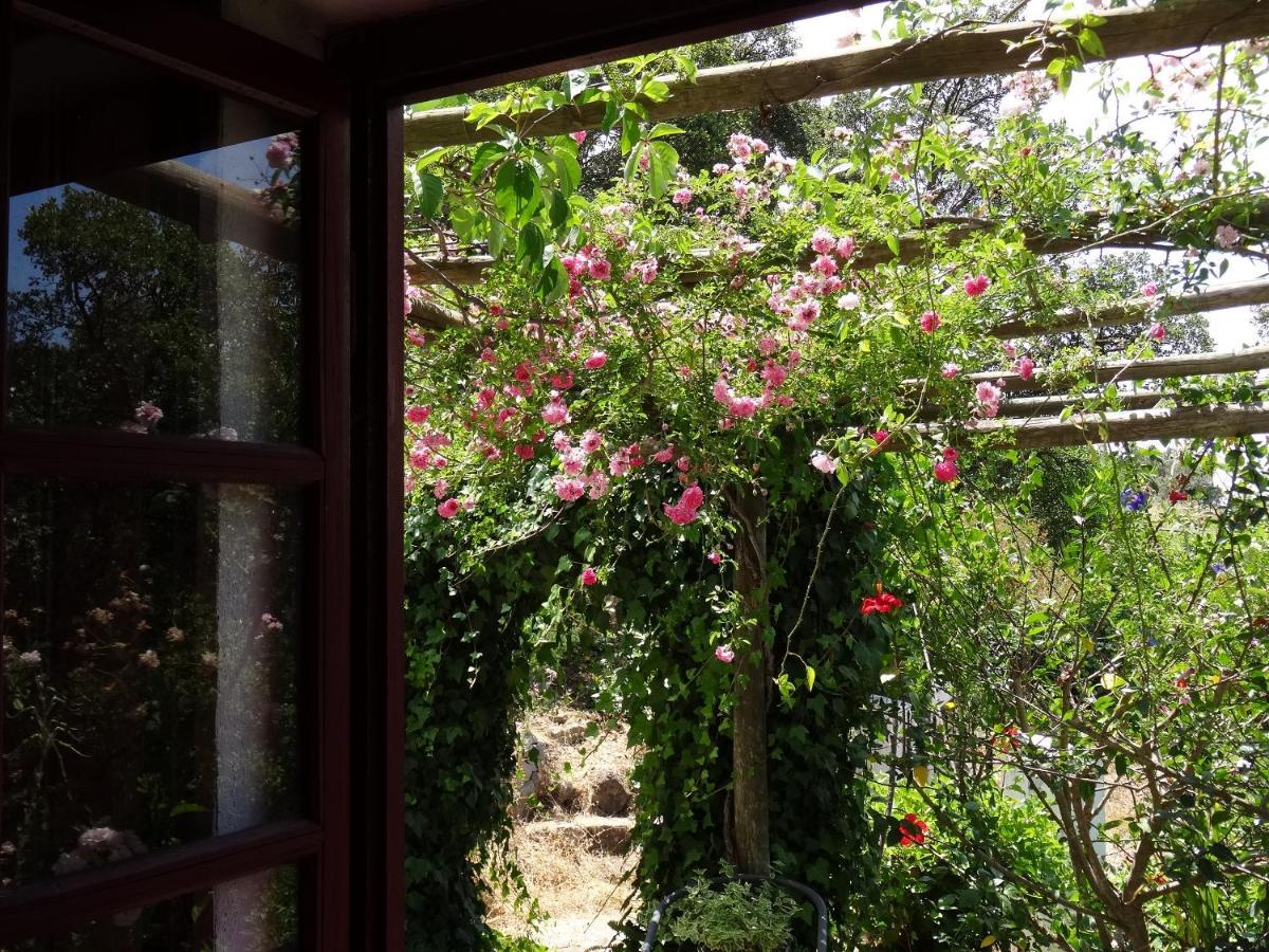 My Room - Villa Vina - Ter Monchique Exterior foto